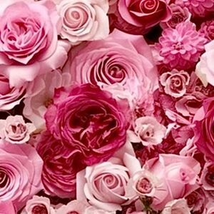 “Roses roses, roses~ roses everywhere” flower, print picture wall art home decor